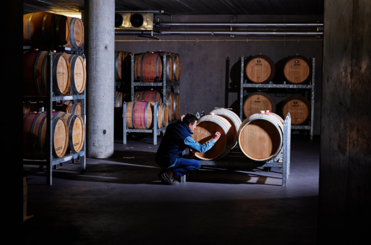 Image of Medhurst vineyard